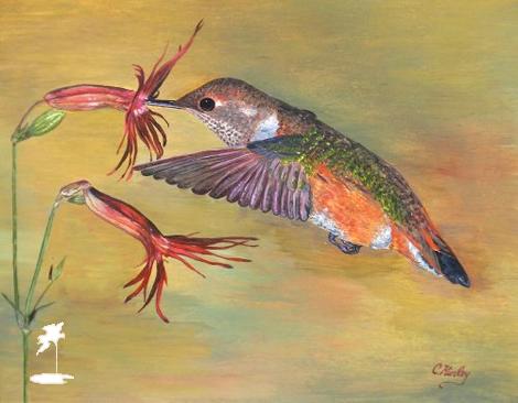 Island of Art - Paintings - Caroline Kinley - Humming Bird Island of Art - Paintings - Caroline Kinley - Humming Bird