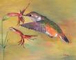 Island of Art - Paintings - Caroline Kinley - Humming Bird