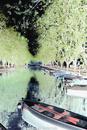 Island of Art - Photos - Energy Brown - Boat Row