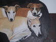 Dan's Dogs by Marilyn Comparetto
