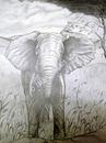 Elephant - Marilyn Comparetto For sale: original drawing, pencil on cartridge paper, framed