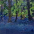 Bluebell Wood