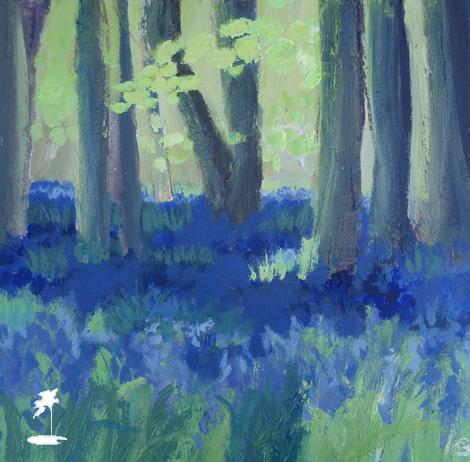 Bluebells in the Beechwoods
