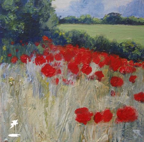 Bright Red Poppies in a Field by the Road