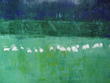 The Flocllk of Sheep in the Field
