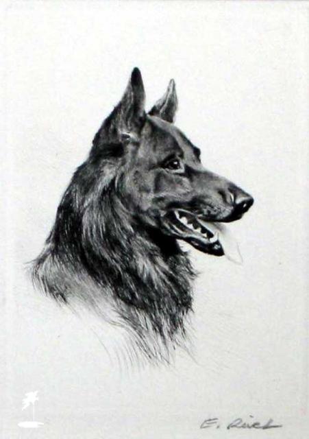 E Rivet "Alsatian" E Rivet "Alsatian"
