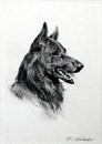 E Rivet "Alsatian"