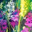 Cerise cranesbill and tall white